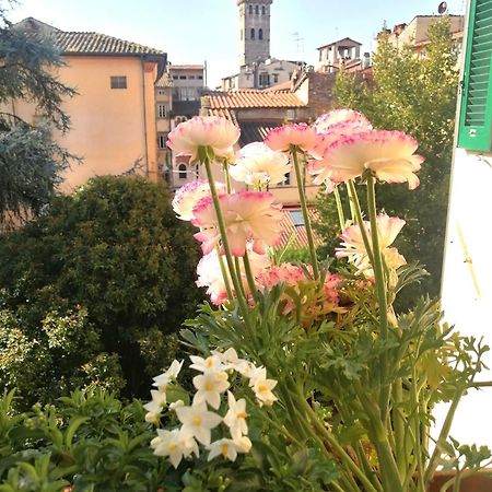 Bed And Breakfast Evelina Lucca Exterior photo